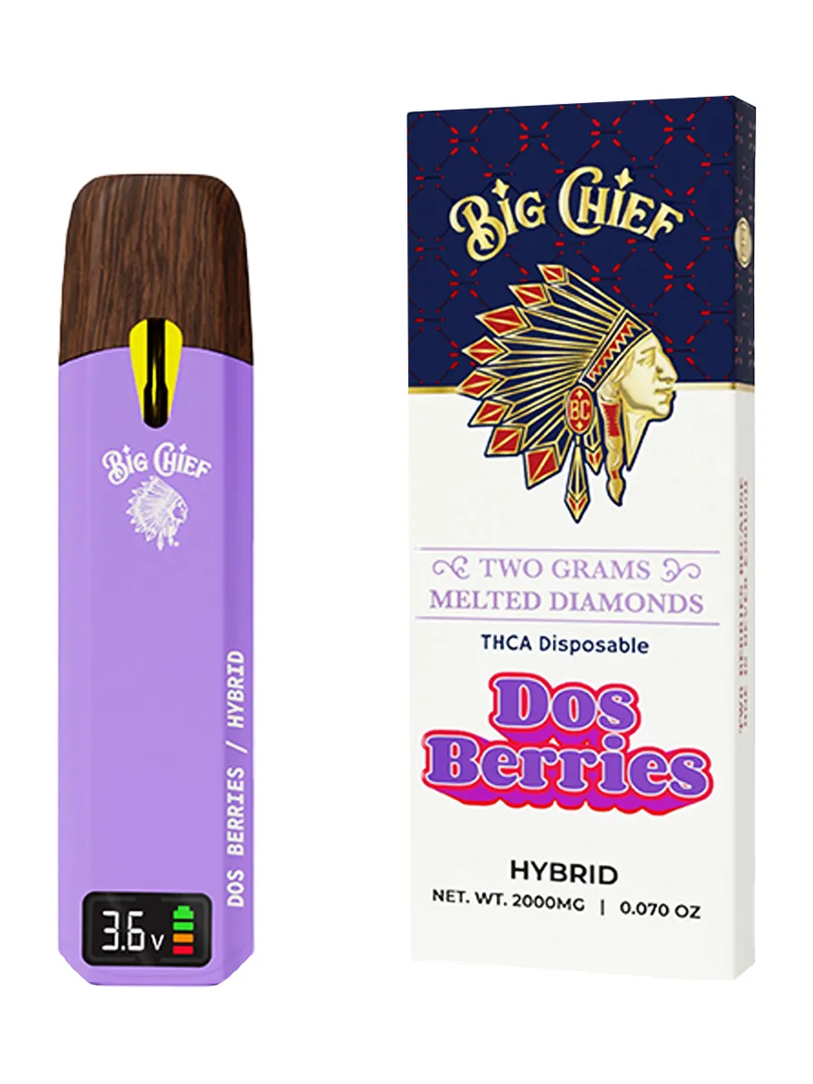 Big Chief 2G Disposable Flavors