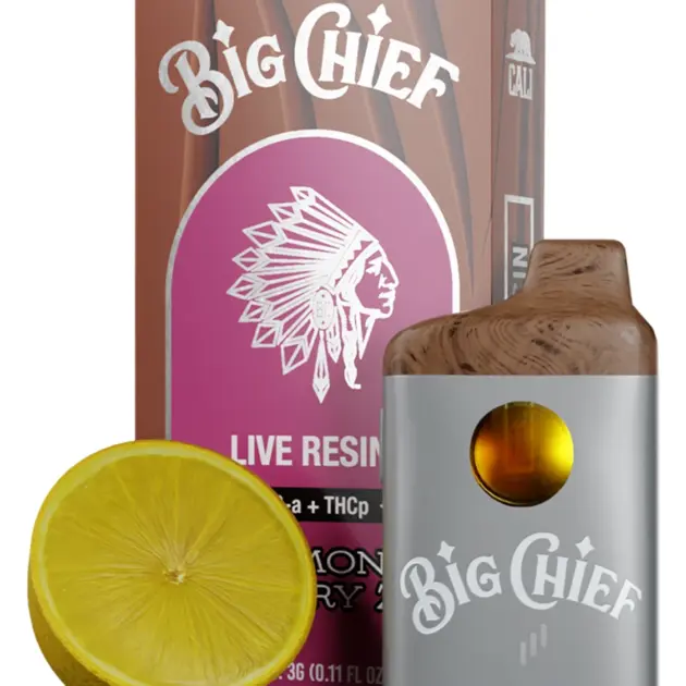 big chief duo vape