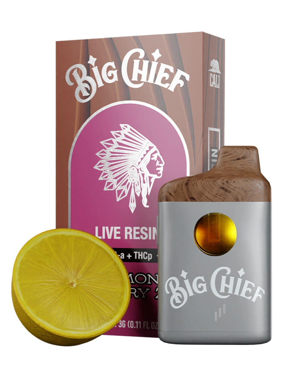 big chief duo vape
