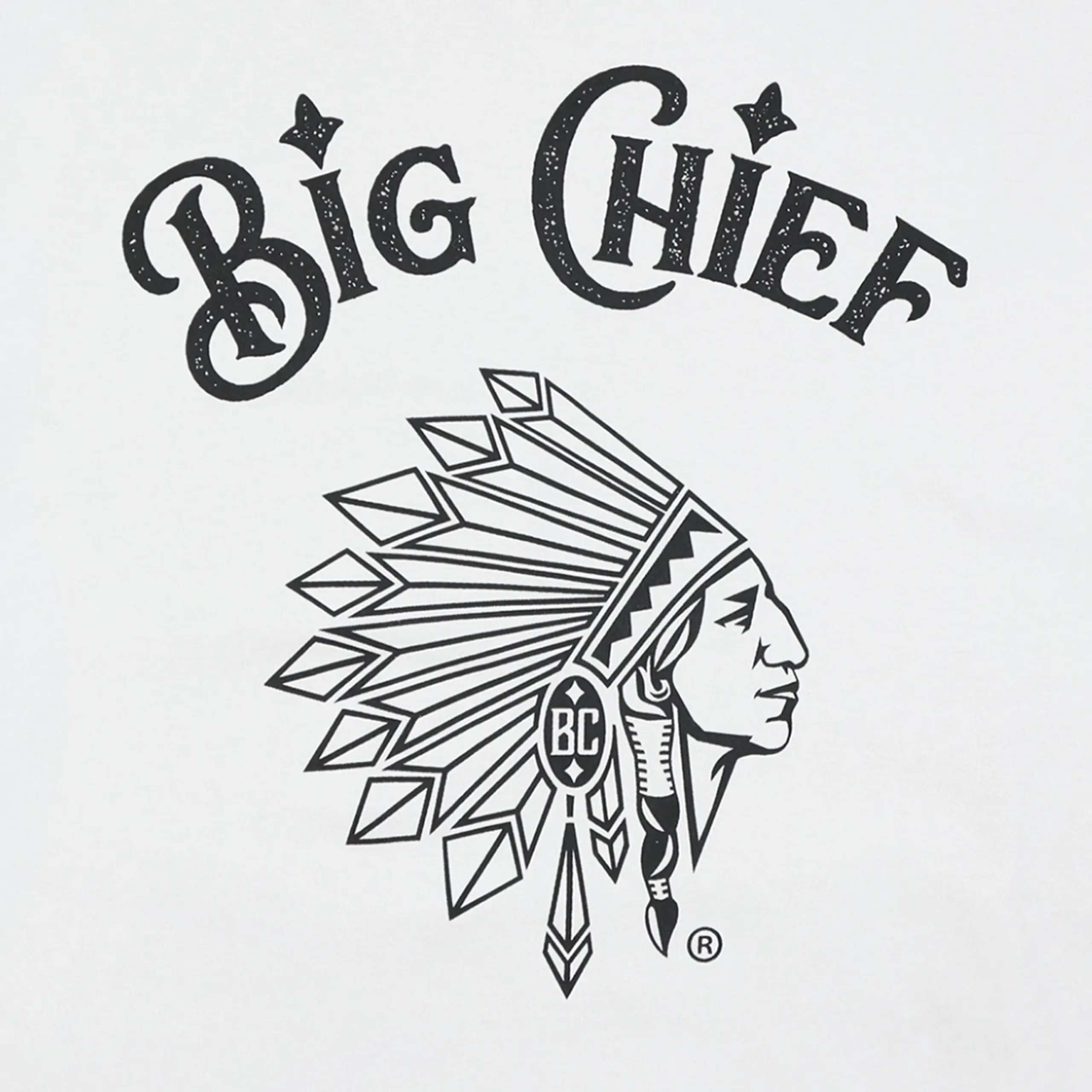 Big Chief Carts