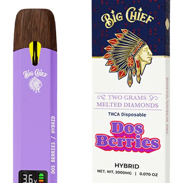 Big Chief 2G Disposable Flavors
